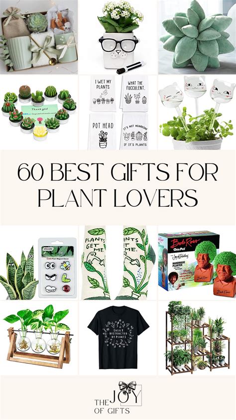 gifts for plant lovers india